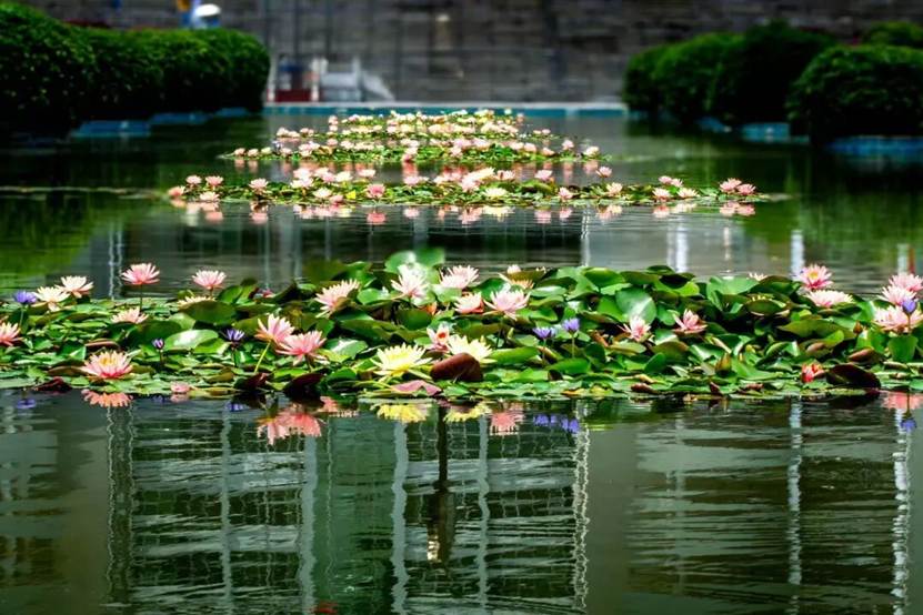 英国上市公司365