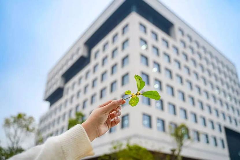 英国上市公司365