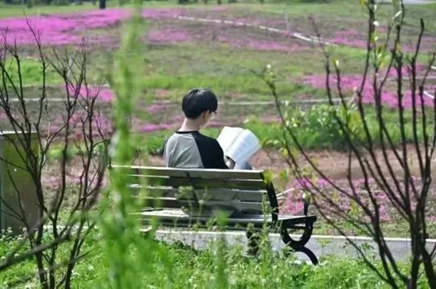 英国上市公司365