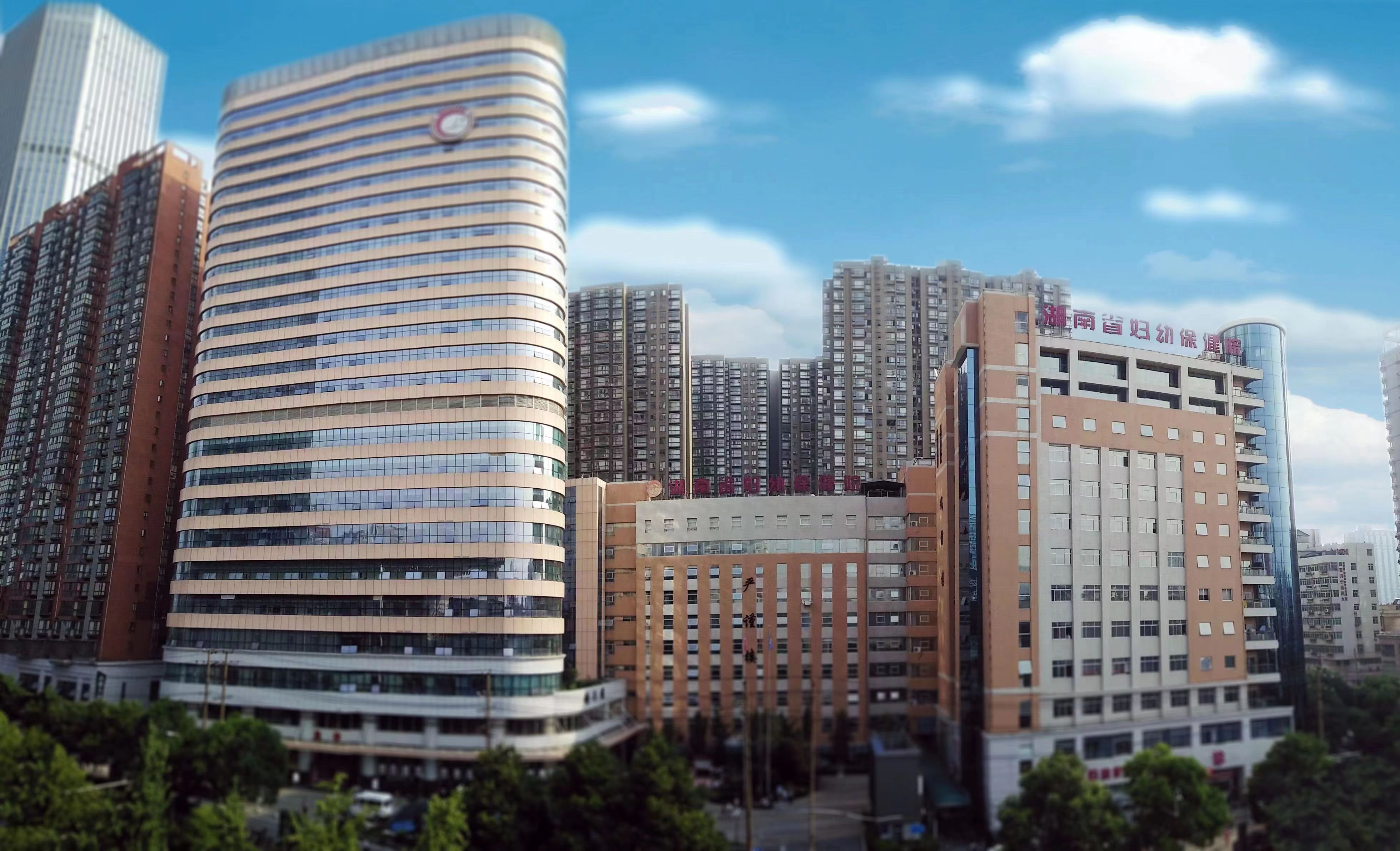 英国上市公司365