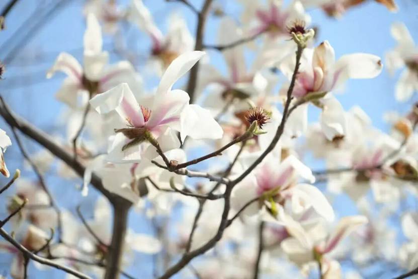 英国上市公司365