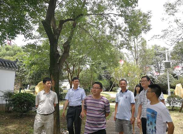 英国上市公司365